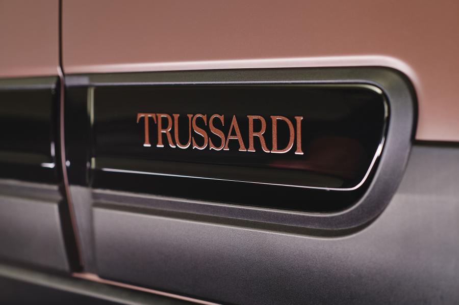 Логотип Fiat Panda Trussardi (319) 2019 года  (фото 27 из 43)